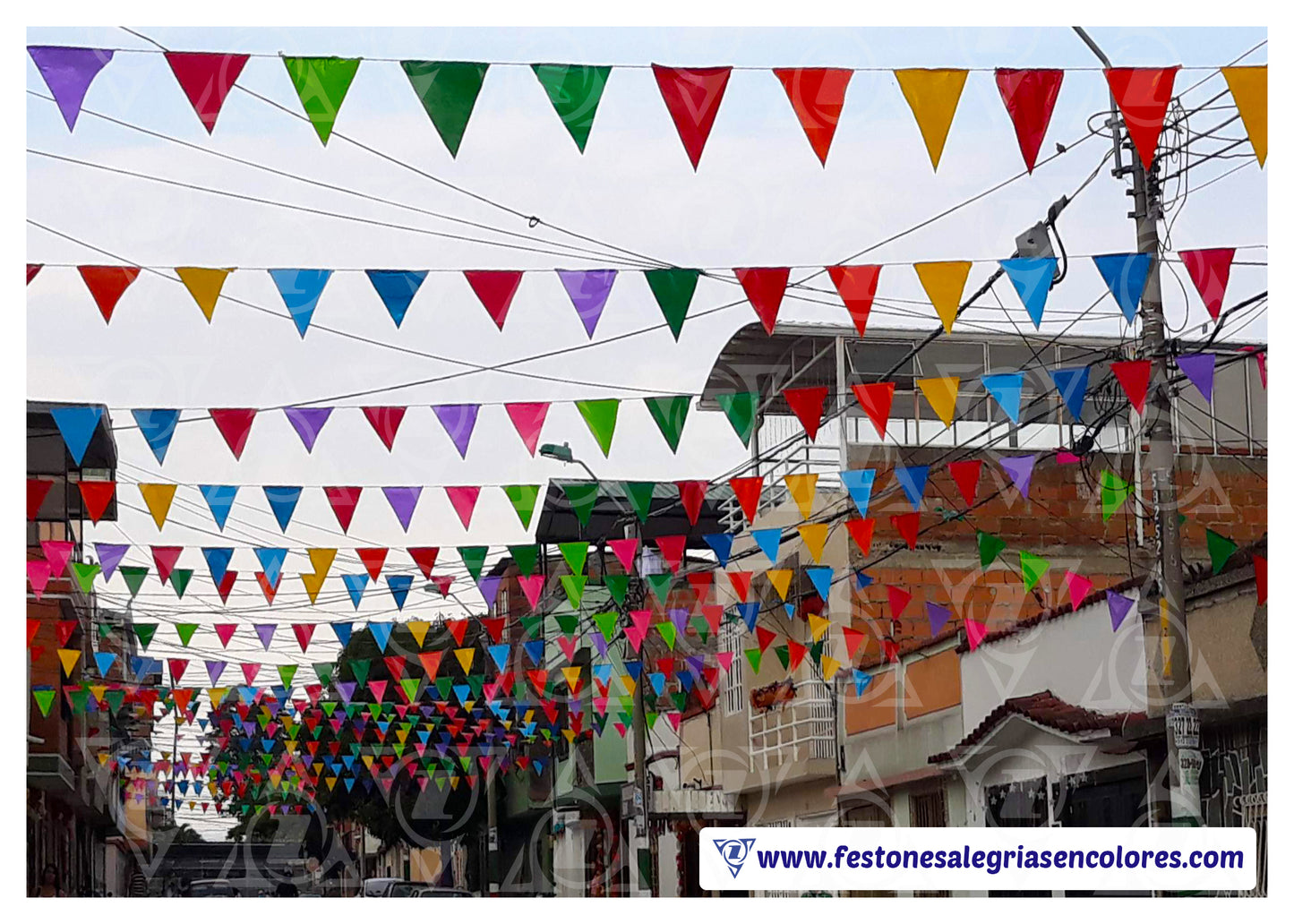 Festón Triangular Multicolor Standard x 50m - Plástico