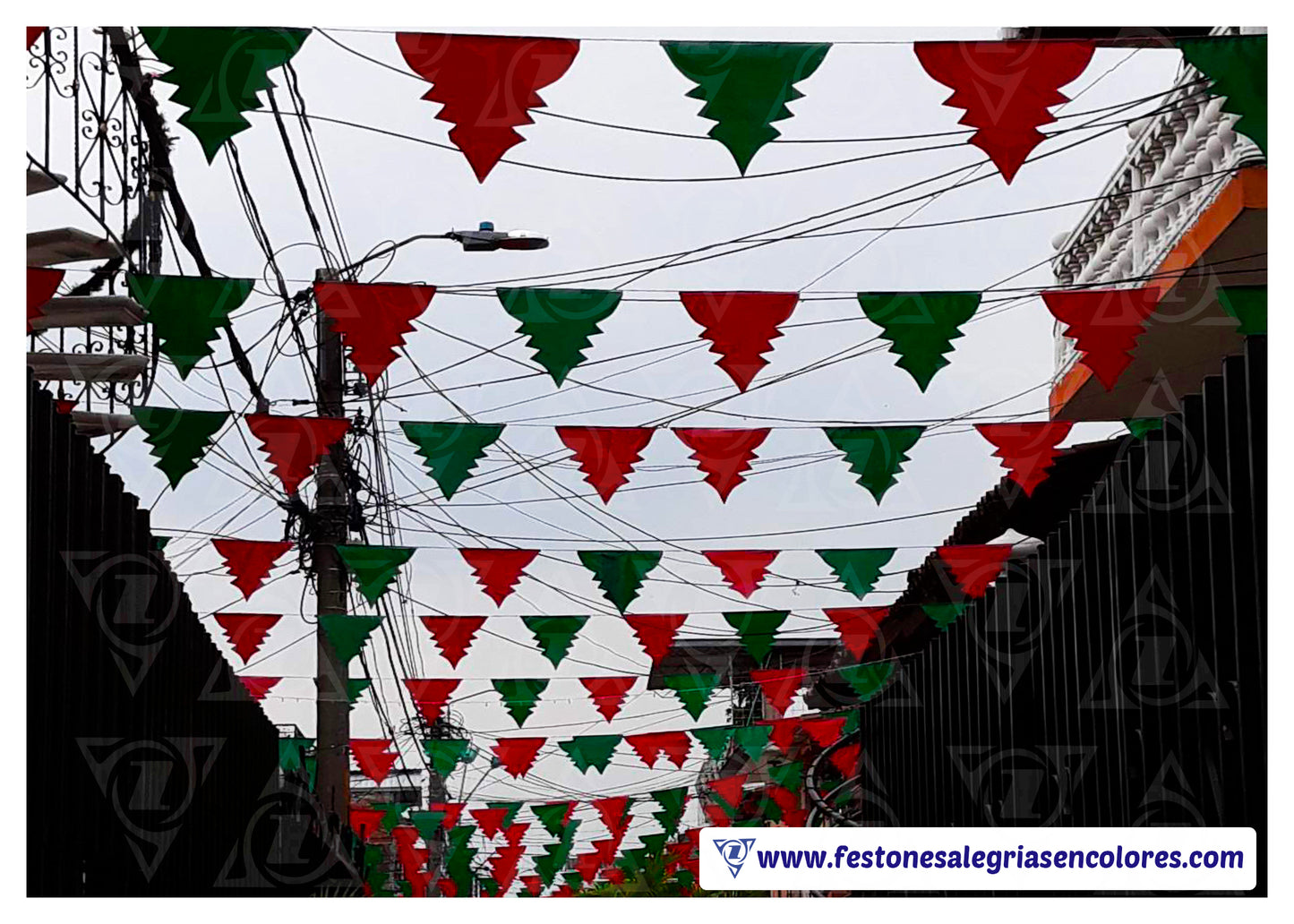 Arbol Bicolor Navideño x 50 metros