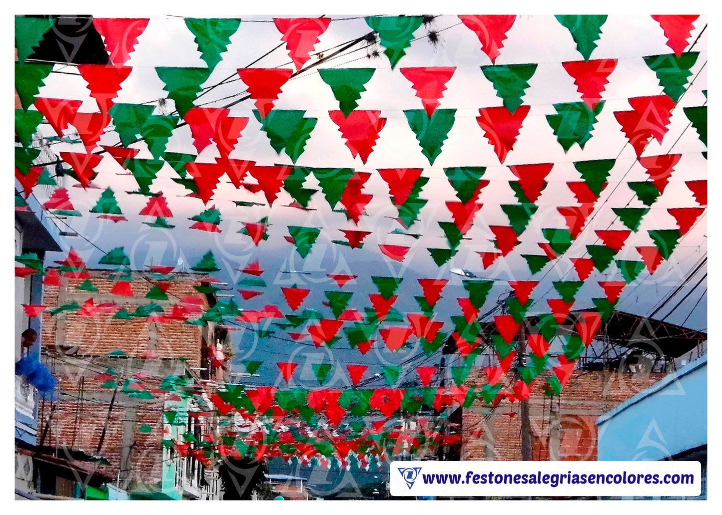 Arbol Bicolor Navideño x 50 metros