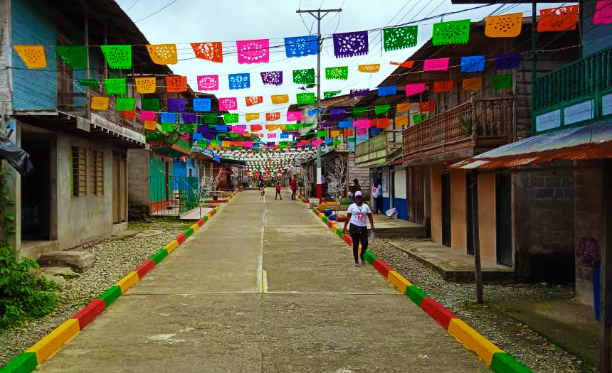 Feston Mexicano Multicolor 50mts -Plastico